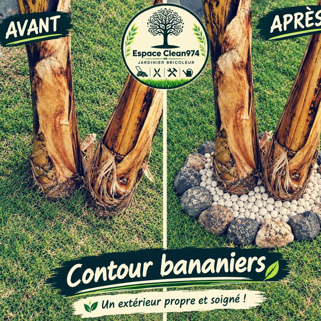 Avant et après : contour de bananiers nettoyé et bordé de galets blancs